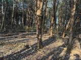0 12.12 Ac Kaskaskia Rd - Photo 9