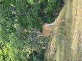 18759 Maries Road 308 - Photo 11