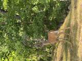 18759 Maries Road 308 - Photo 9