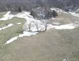 0 State Hwy 81 - Photo 1