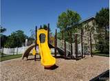 11202 Spring Creek Lane - Photo 15