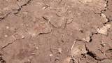 12980 Canyon Road - Photo 21