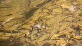 12980 Canyon Road - Photo 22