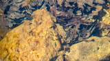 12980 Canyon Road - Photo 34