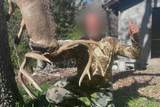 12980 Canyon Road - Photo 84