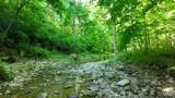 43 +/- Ac Hagedorn Lane - Photo 5