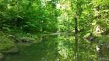 43 +/- Ac Hagedorn Lane - Photo 6