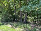 817 Wildflower Valley Drive - Photo 3