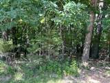 817 Wildflower Valley Drive - Photo 5