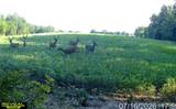 920 Poplar Camp Road - Photo 1