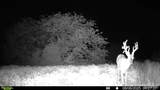 00 Fortune Road - Photo 20