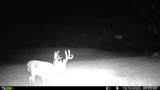 00 Fortune Road - Photo 25