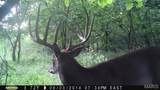 00 Fortune Road - Photo 27