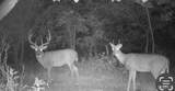 00 Fortune Road - Photo 28