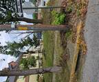 923 Center Street - Photo 2