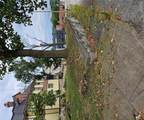 923 Center Street - Photo 3