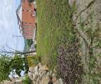 923 Center Street - Photo 6