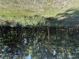 5.49 Acres T Warren - Photo 2