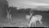 00 Abbott Road - Photo 87