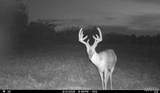 00 Abbott Road - Photo 35