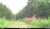 00 Abbott Road - Photo 38