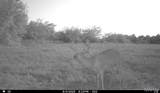 00 Abbott Road - Photo 43