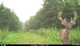 00 Abbott Road - Photo 46