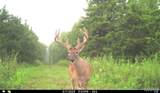 00 Abbott Road - Photo 48