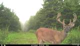 00 Abbott Road - Photo 49