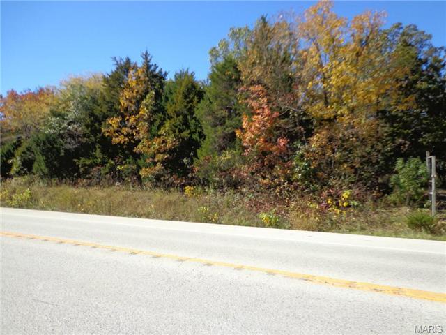 0 Hwy 21 - Photo 1
