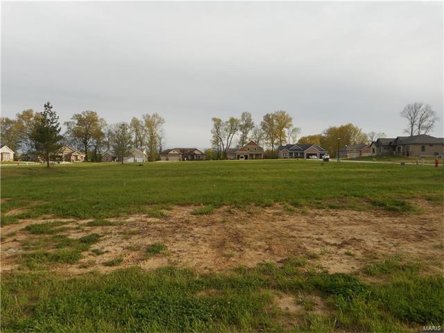 1414 Crimson King Way - Photo 1