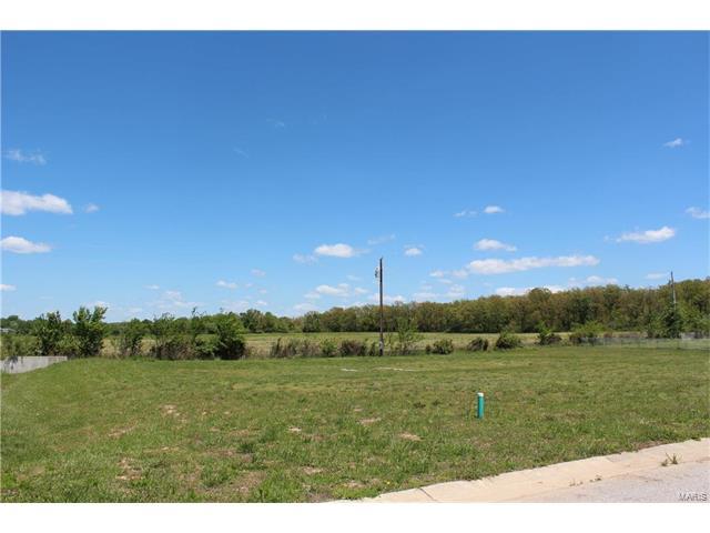 20049 Ostrich Lane - Photo 1