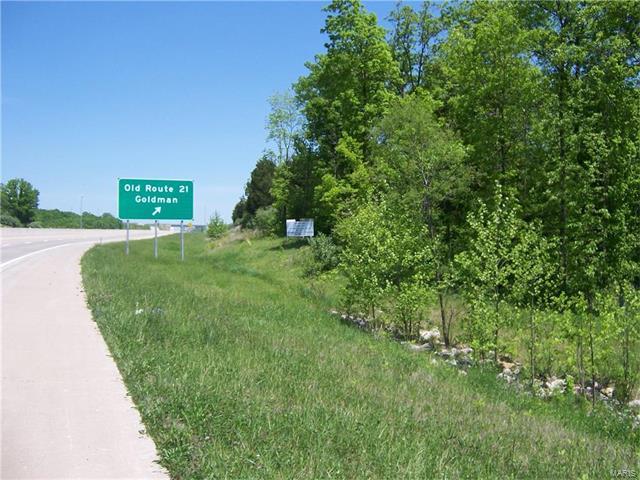 8719 Old State Route 21 - Photo 1