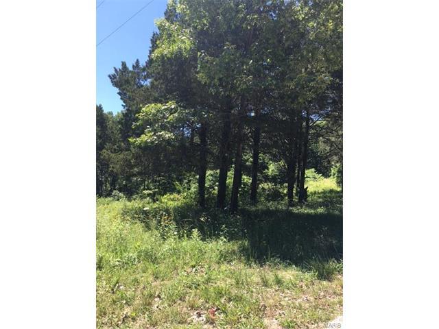 45 Forest Drive - Photo 1