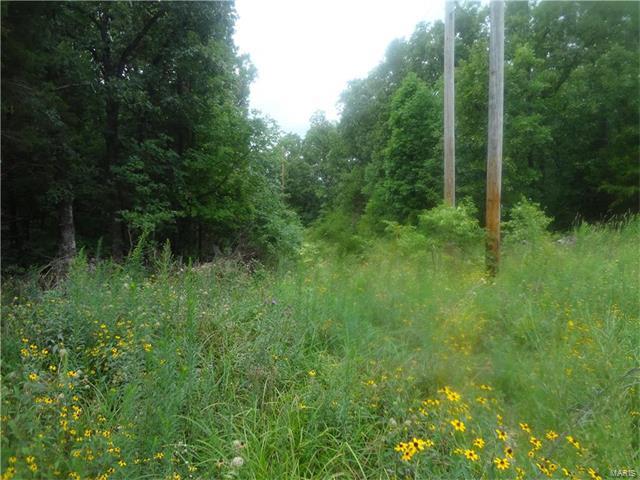 17 Lot 17 Trail Ridge - Photo 1