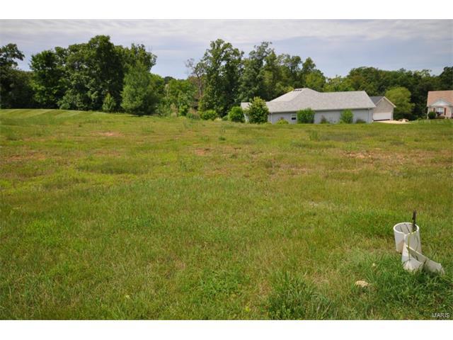 225 Fiddlecreek Ridge - Photo 1