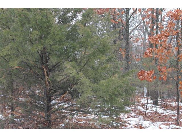 705 Hidden Lake - Photo 1