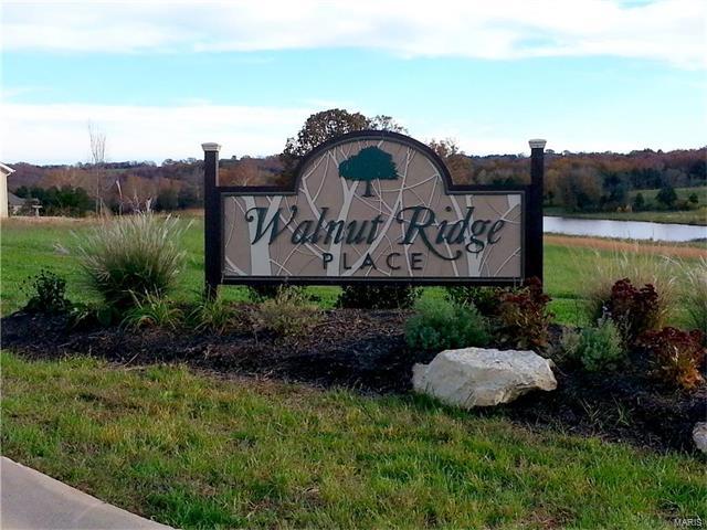 43 (Lot) Walnut Ridge Place - Photo 1
