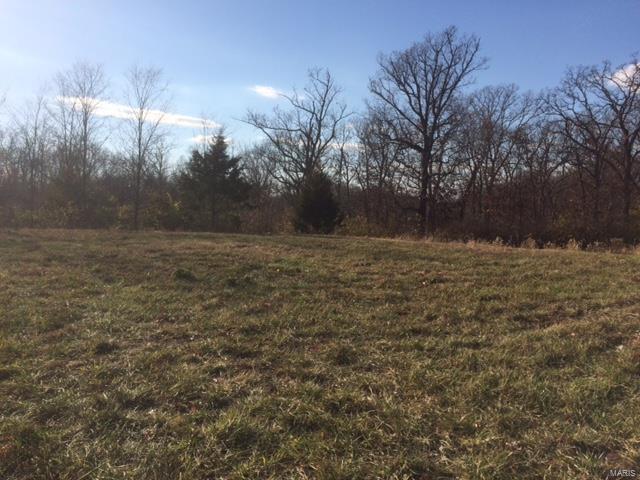 1057 Majestic - Photo 1