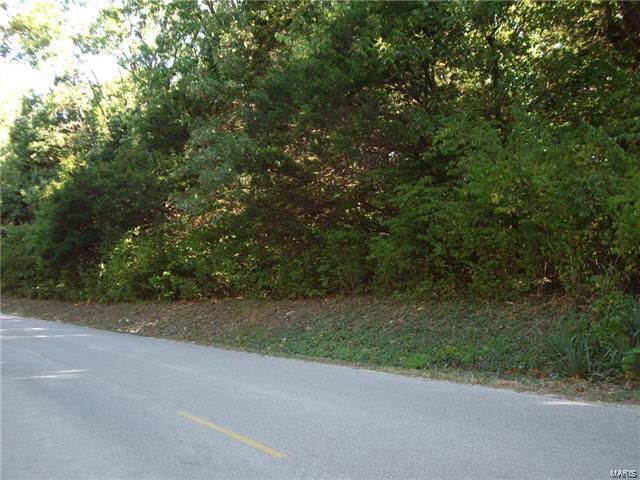 0 3 +/- Acres Shady View - Photo 1