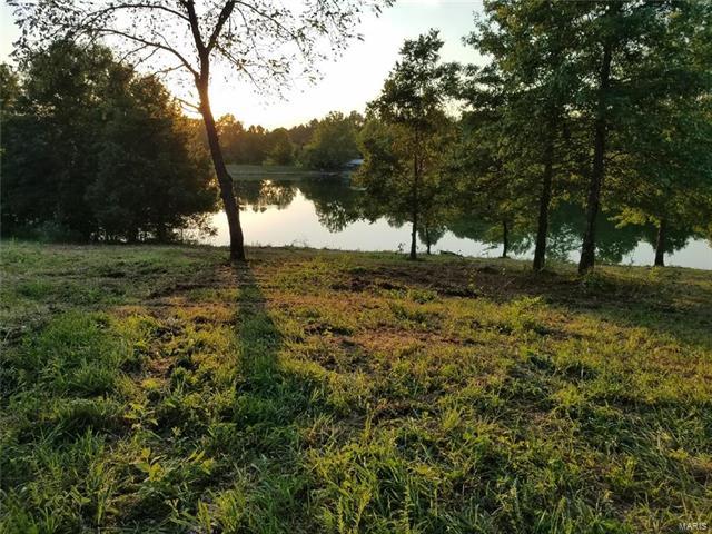 4 Bald Eagle Lot 4 Lane - Photo 1