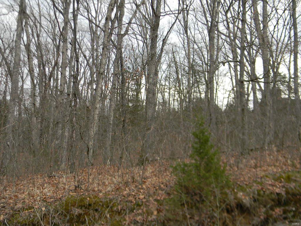 0 Renegade Blk 2, Lot 55 Trail - Photo 1