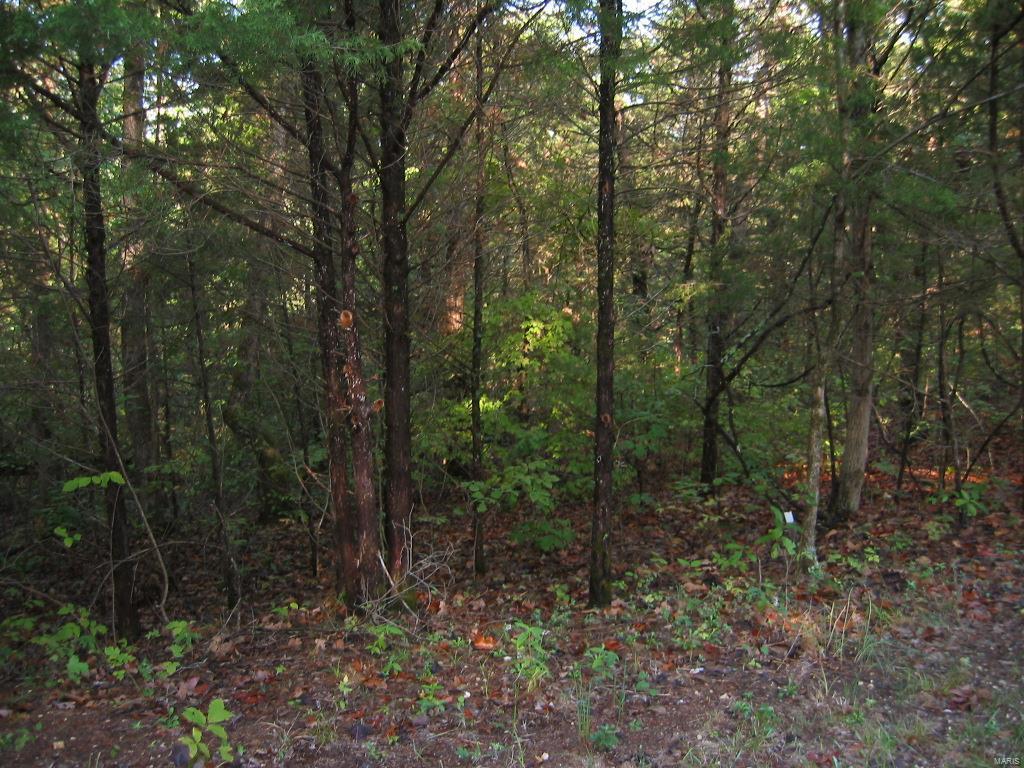 0 Bunker Hill Drive - Photo 1