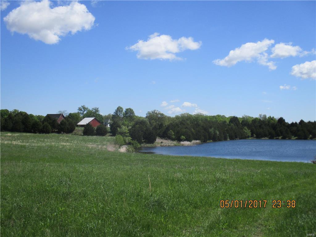 289 South Hwy 19 - Photo 1