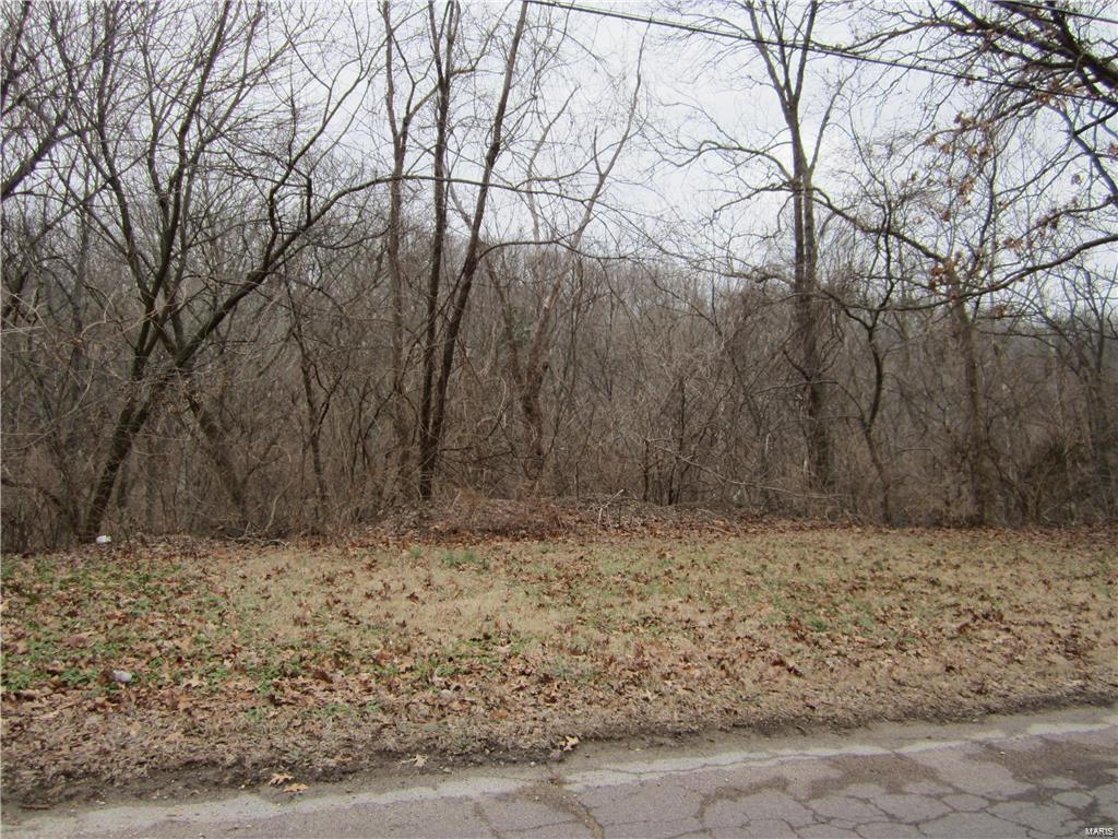 0 Lot 11,13,15,17Persimmon Ridge - Photo 1
