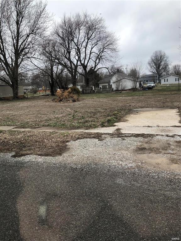 1215 Macoupin - Photo 1