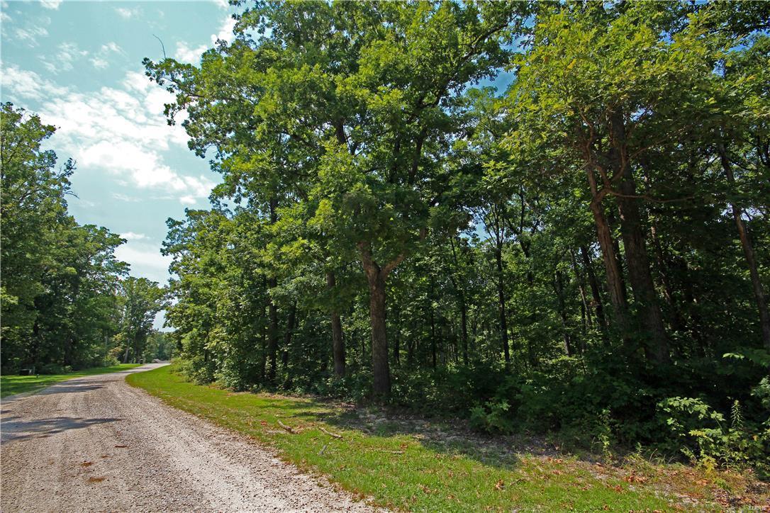 141 Fawn Ridge - Photo 1