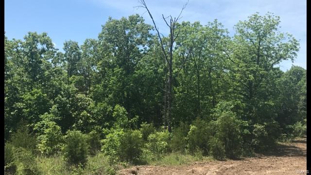 0 County Road 3060 - Photo 1