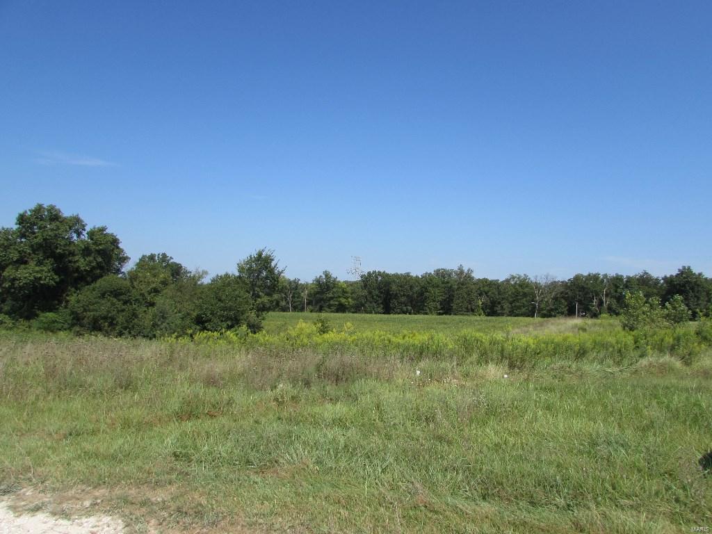 11 Richard Scott Court - Photo 1