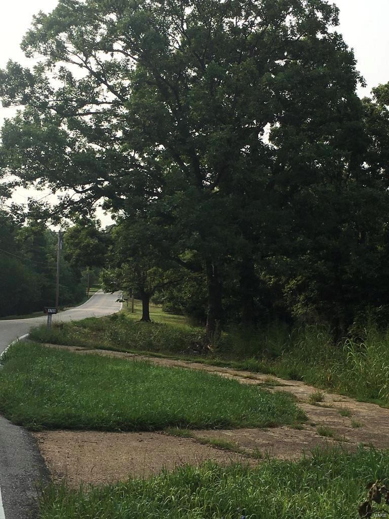 1633 Wild Horse Creek Road - Photo 1